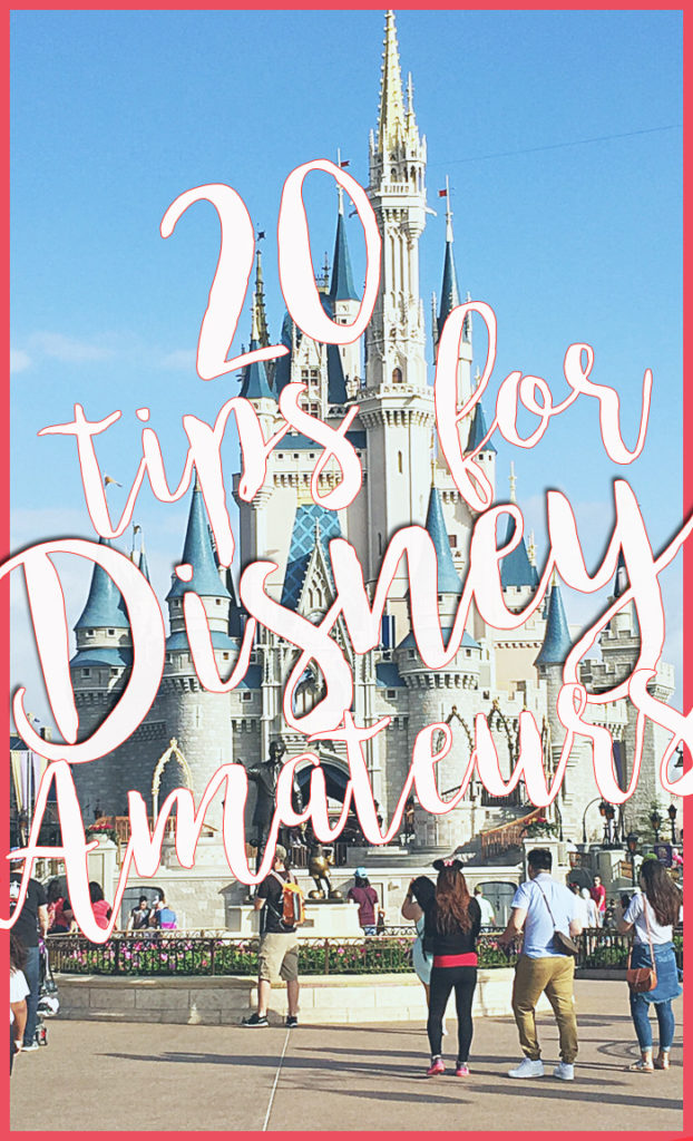 tips for planning a trip to Disney