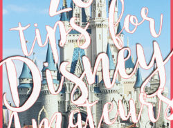 tips for planning a trip to Disney